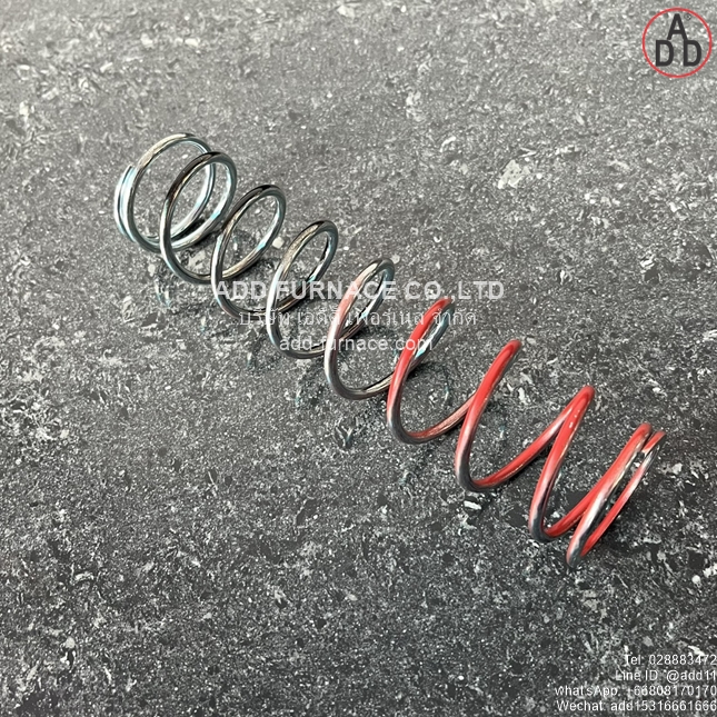 Kromschroder VGBF 50 Spring 100-160mBar(4)